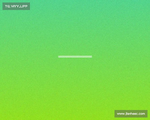 网球赛场的魅力与激情：探秘高水平比赛中的氛围与观众体验