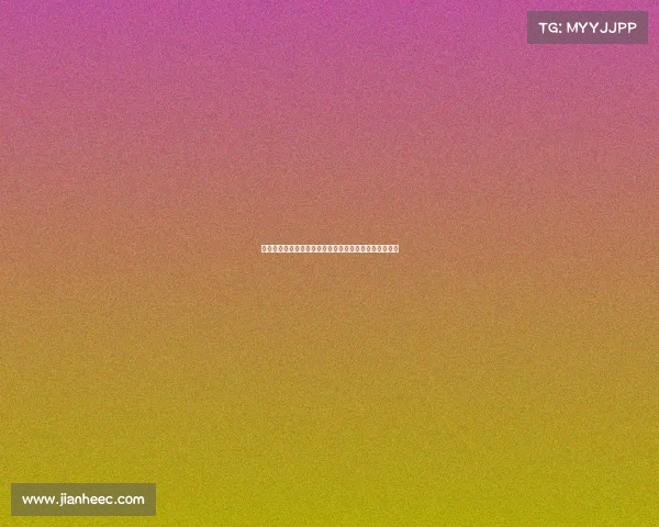 面对四份合同如何选择最适合你的那一份分析与决策技巧